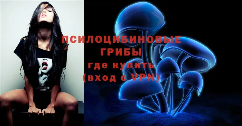 Псилоцибиновые грибы Psilocybe  MEGA   Горбатов 